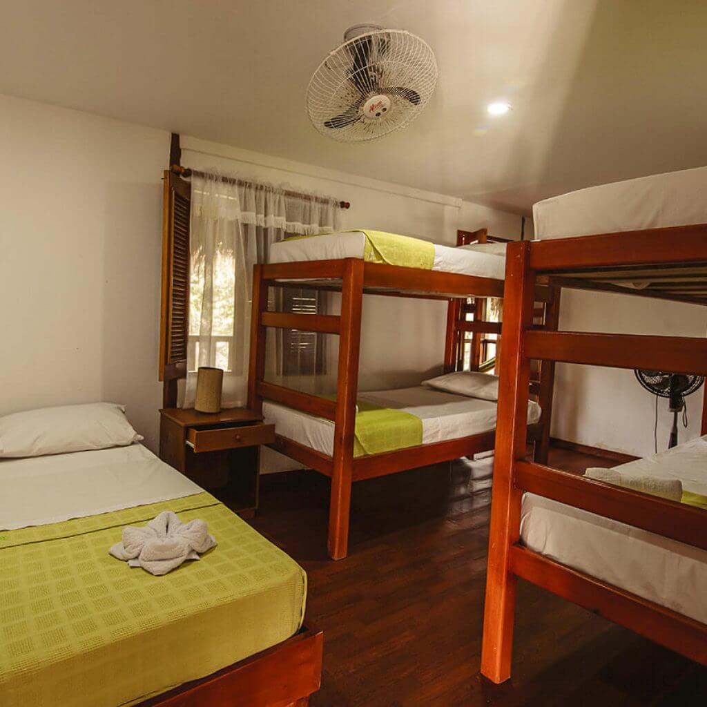 Family Room comfortably equipped with (3 bunk beds) or (1 double bed and 2 bunk beds) to accommodate a maximum of six people, it has a private bathroom and a view of the hotel's gardens and ecological trails.