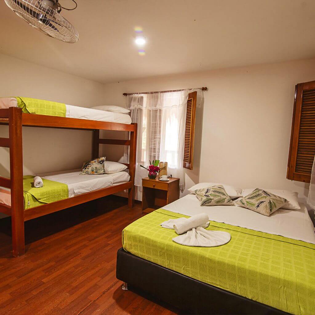This shared room is ideal for groups or families of up to 4 members, this room has 1 bunk bed and a double bed, private bathroom and a beautiful view of the hotel's terraces and gardens.