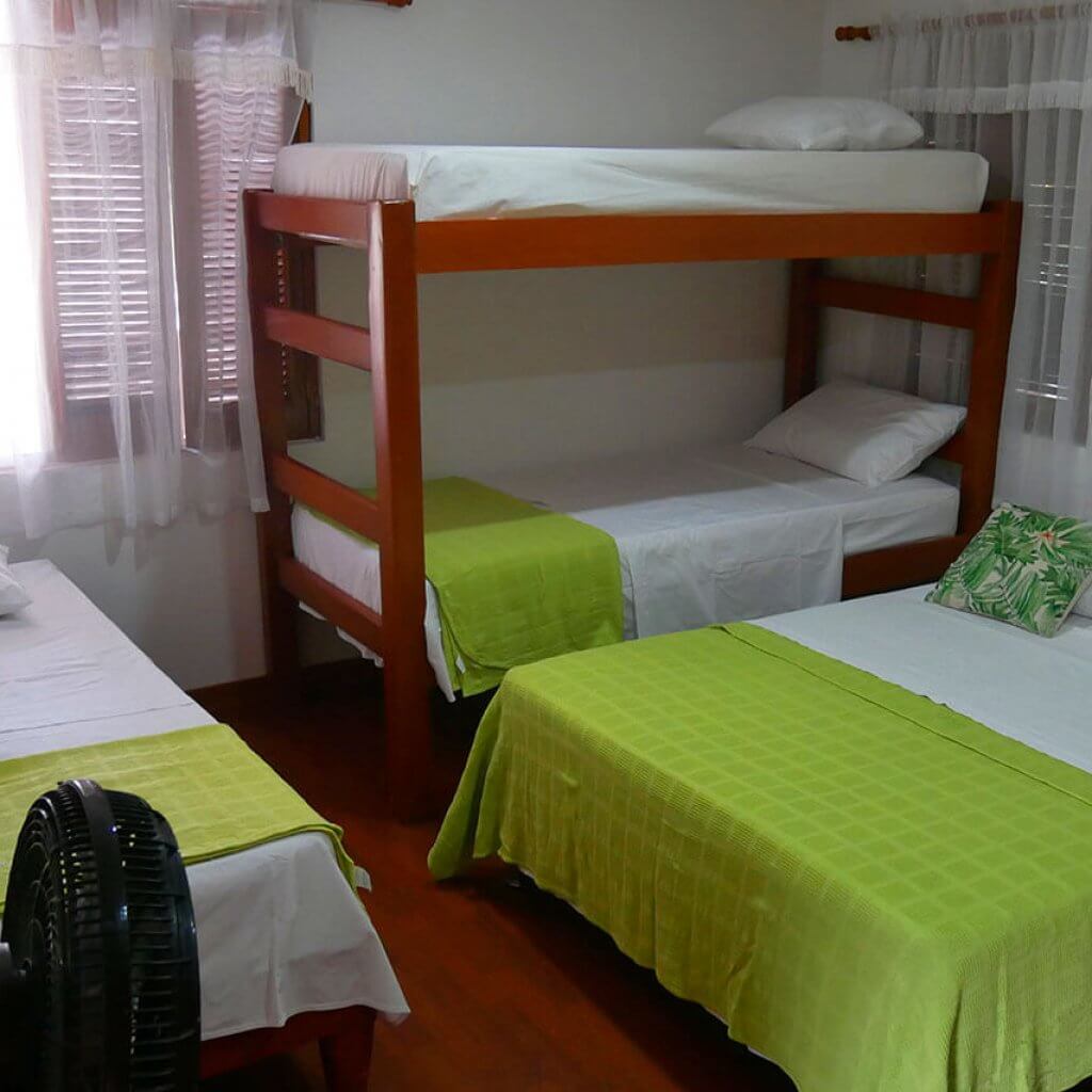 The perfect room for groups of 5 people, equipped with (1 bunk bed and 3 single beds) or (1 double bed, 1 bunk bed and 1 single bed), it has a private bathroom and windows overlooking the hotel gardens.