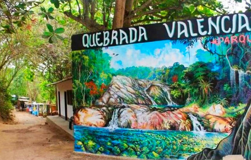 Quebrada Valencia – Buritaca
